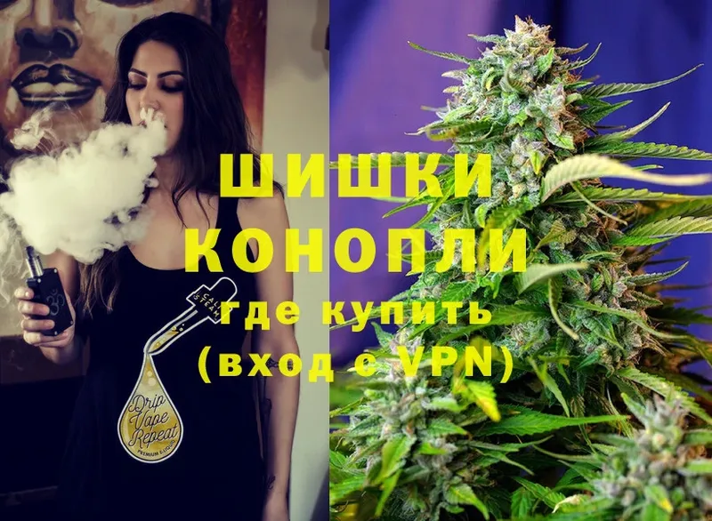 купить закладку  Дмитриев  Бошки марихуана SATIVA & INDICA 